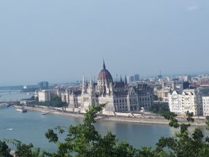 Senica_42.jpg