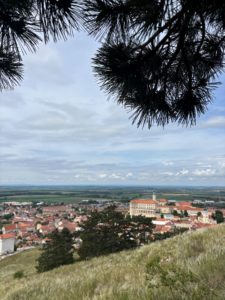 Brno_10.jpg