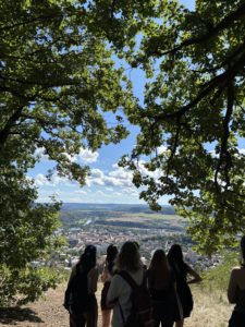 IMG_2333-rotated.jpeg