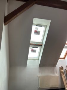IMG_0331-rotated.jpg